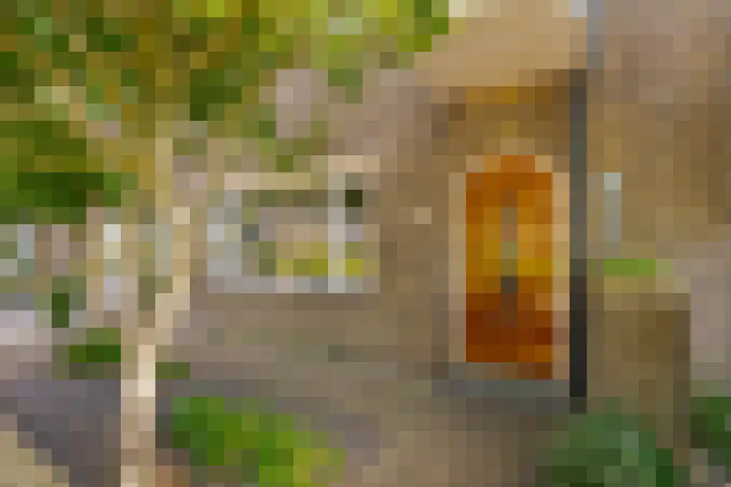 Cornelis Houtmanstraat 7 Zwolle thumbnail 10