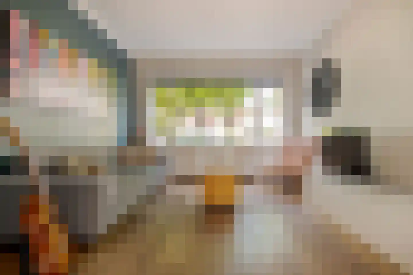 Cornelis Houtmanstraat 7 Zwolle thumbnail 14