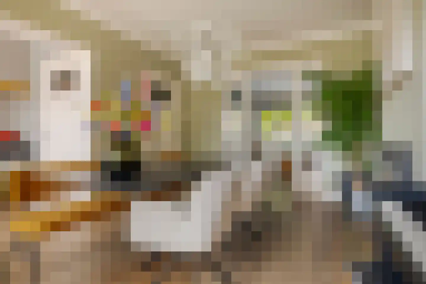 Cornelis Houtmanstraat 7 Zwolle thumbnail 19