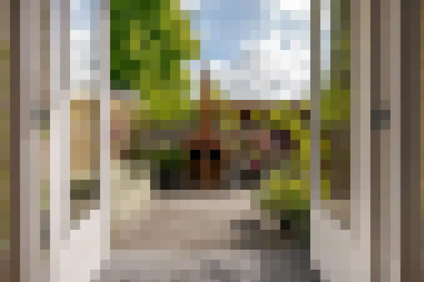 Cornelis Houtmanstraat 7 Zwolle thumbnail 21