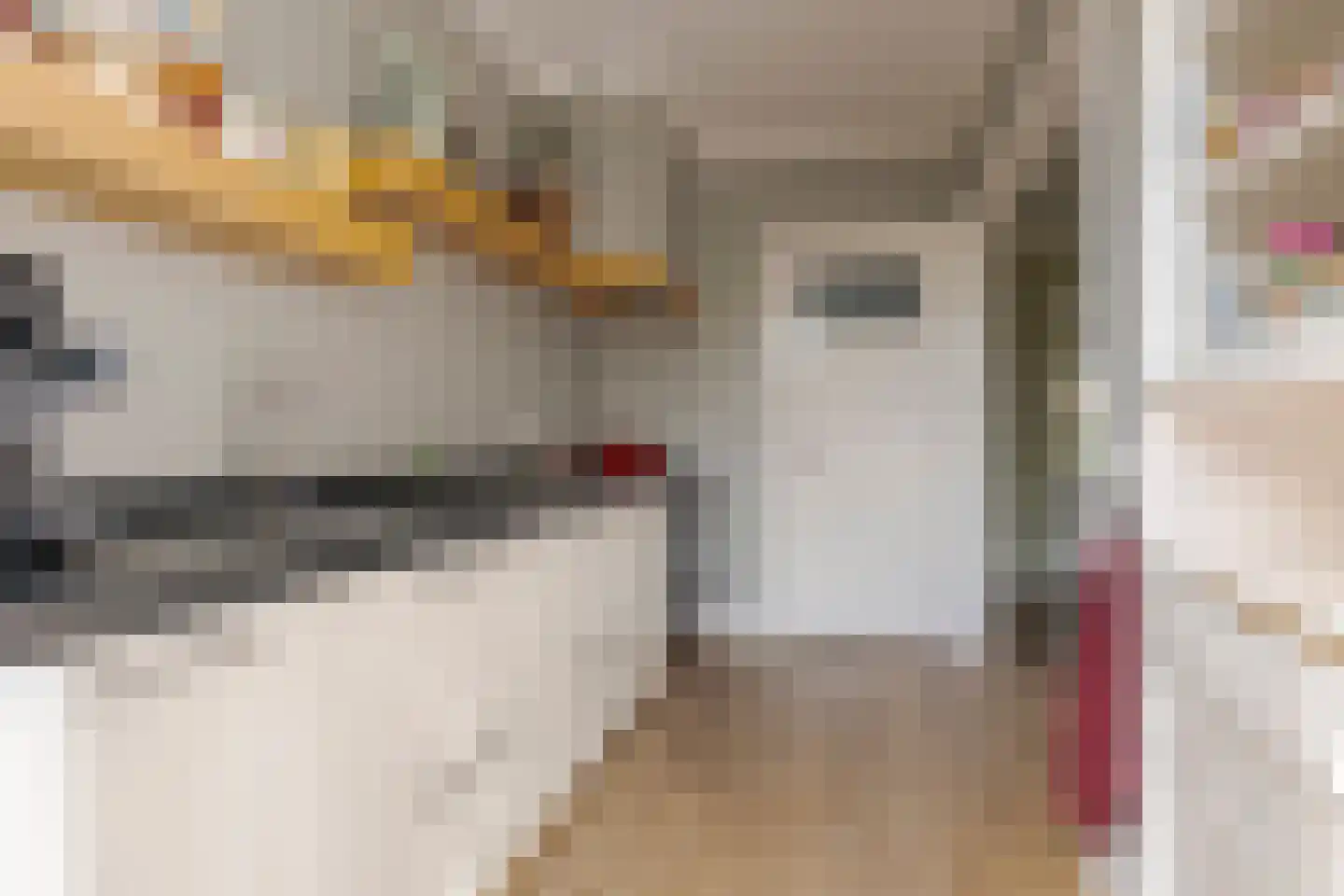 Cornelis Houtmanstraat 7 Zwolle thumbnail 25