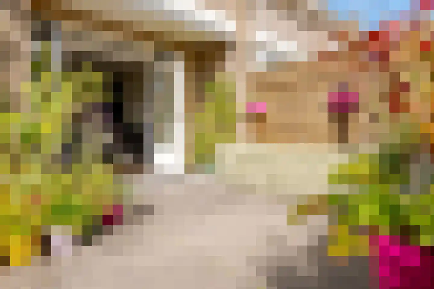 Cornelis Houtmanstraat 7 Zwolle thumbnail 27