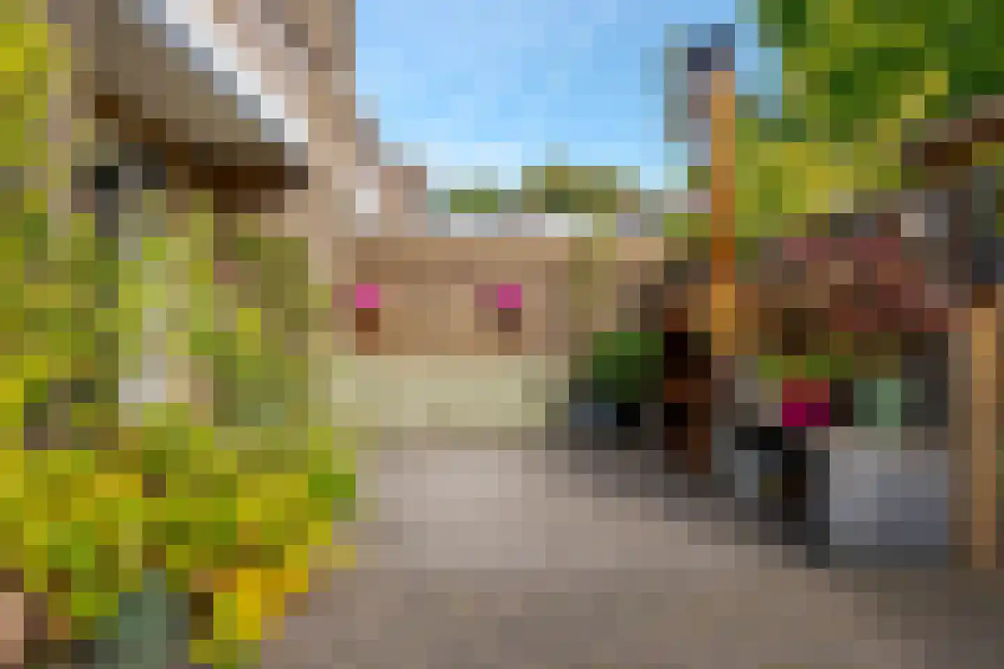Cornelis Houtmanstraat 7 Zwolle thumbnail 28