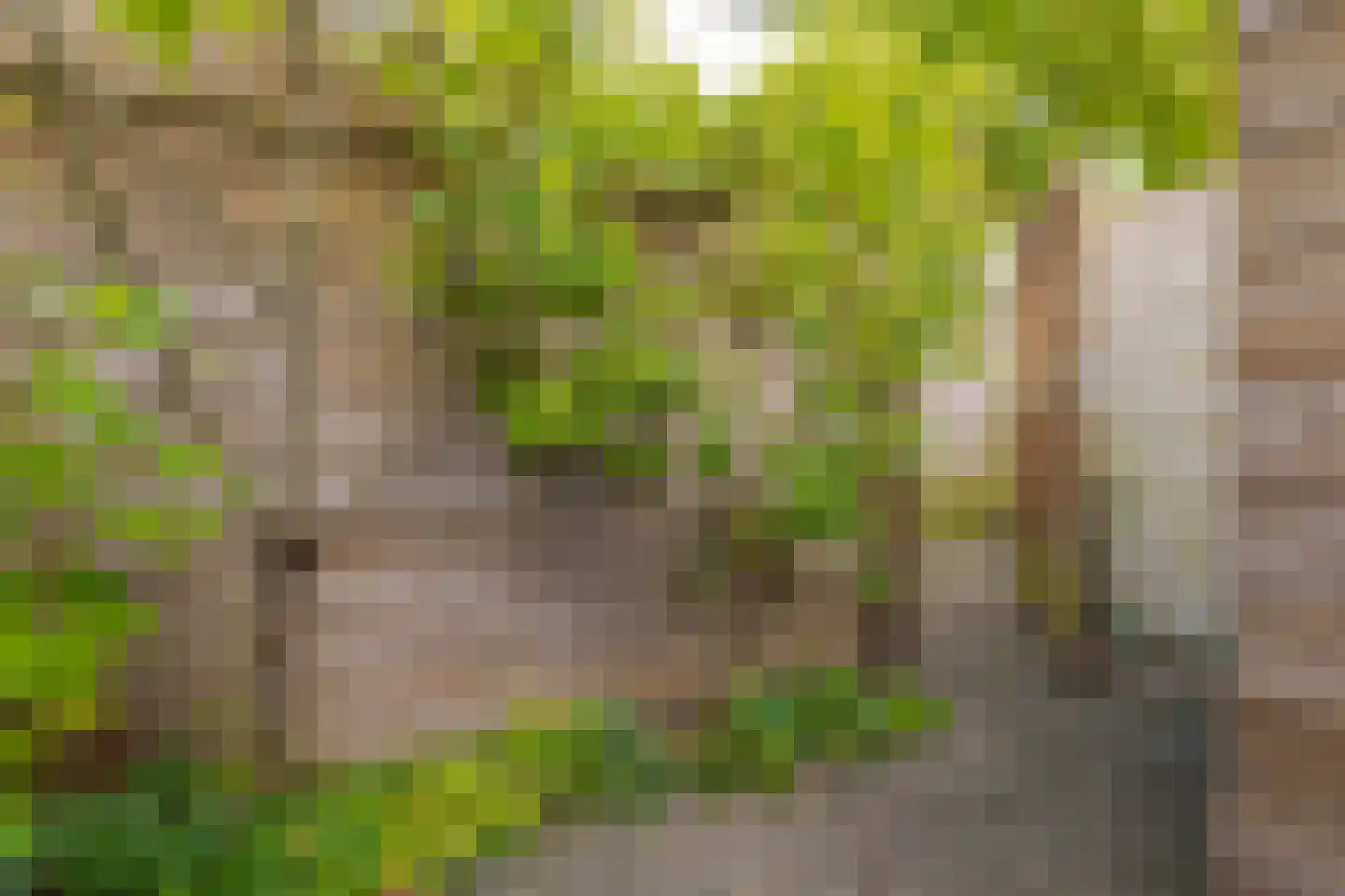 Cornelis Houtmanstraat 7 Zwolle thumbnail 31