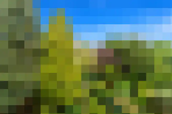 Cornelis Houtmanstraat 78 Den Haag thumbnail 22