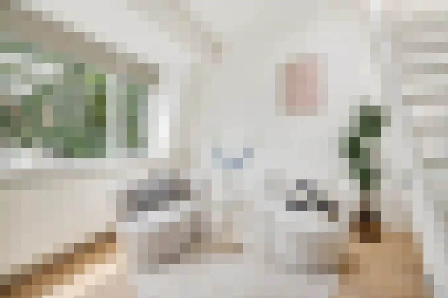 Cornelis Houtmanstraat 8 D Utrecht thumbnail 12