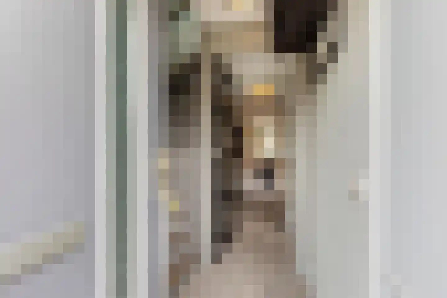 Cornelis Jaspersesstraat 14 Meliskerke thumbnail 16