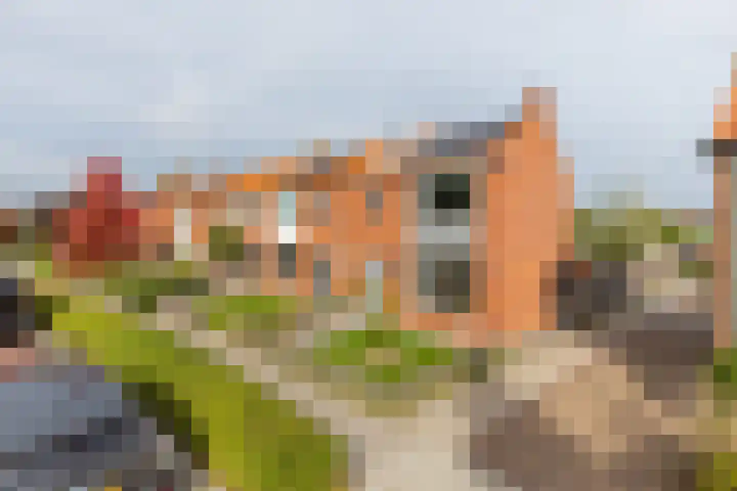 Cornelis Jaspersesstraat 14 Meliskerke thumbnail 33
