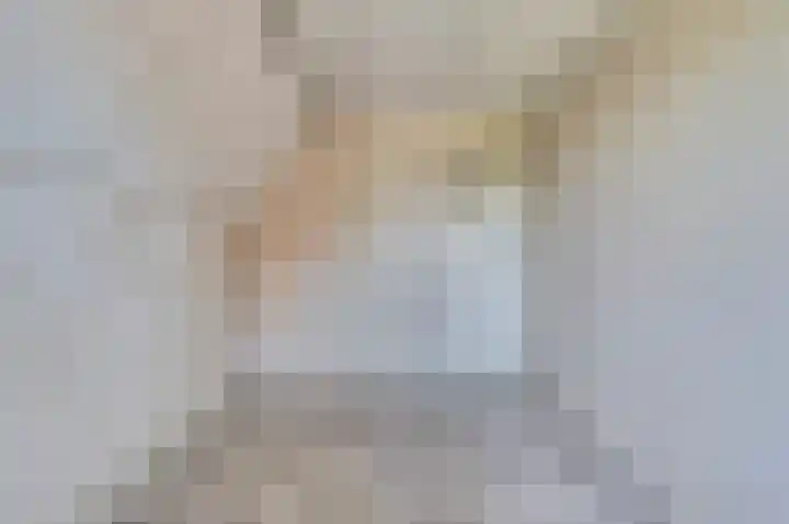 Cornelis Jaspersesstraat 3 Meliskerke thumbnail 15