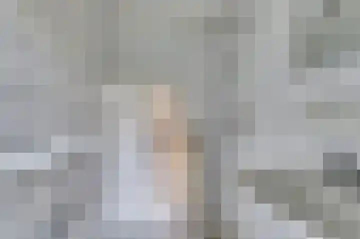 Cornelis Jaspersesstraat 3 Meliskerke thumbnail 18