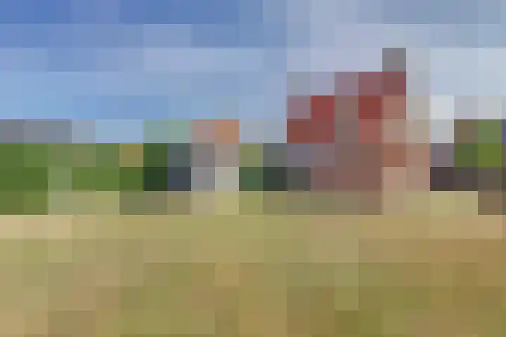 Cornelis Jaspersesstraat 3 Meliskerke thumbnail 22