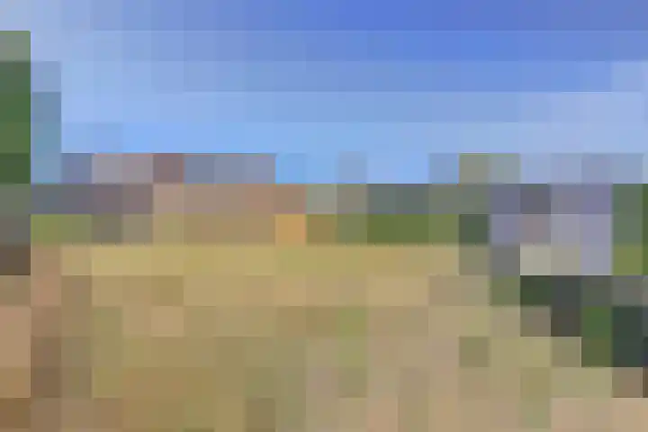 Cornelis Jaspersesstraat 3 Meliskerke thumbnail 5