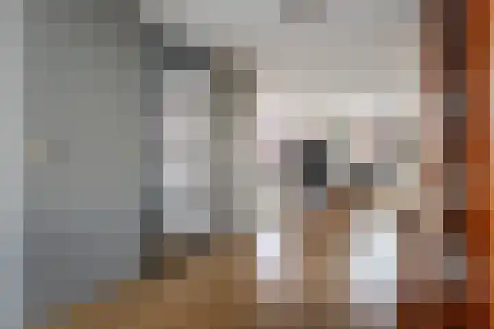 Cornelis Jetseslaan 15 Veendam thumbnail 12