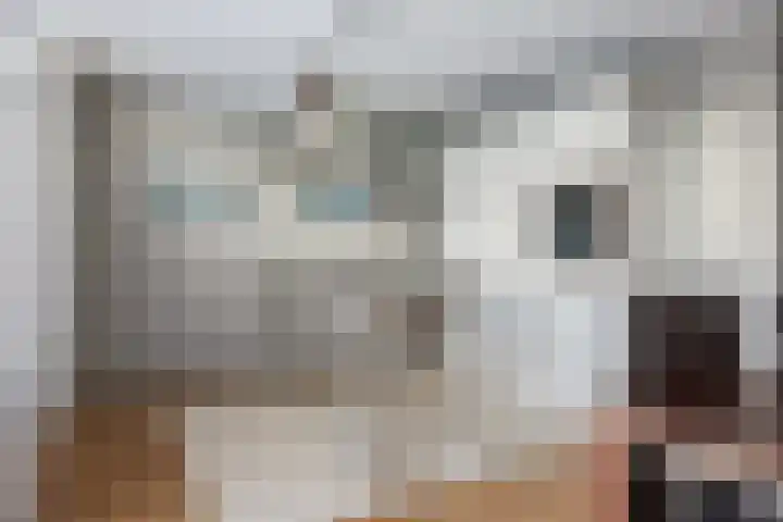 Cornelis Jetseslaan 15 Veendam thumbnail 13
