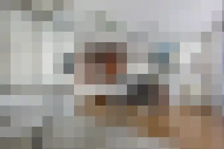 Cornelis Jetseslaan 15 Veendam thumbnail 15