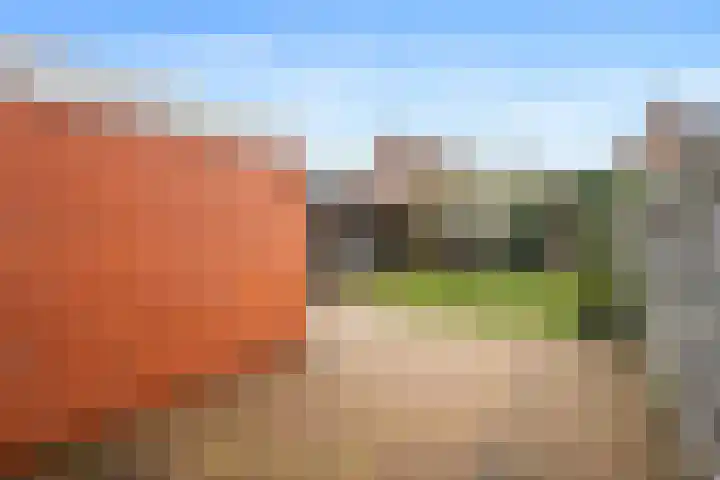 Cornelis Jetseslaan 7 Veendam thumbnail 37