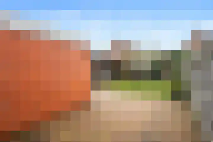 Cornelis Jetseslaan 7 Veendam thumbnail 5