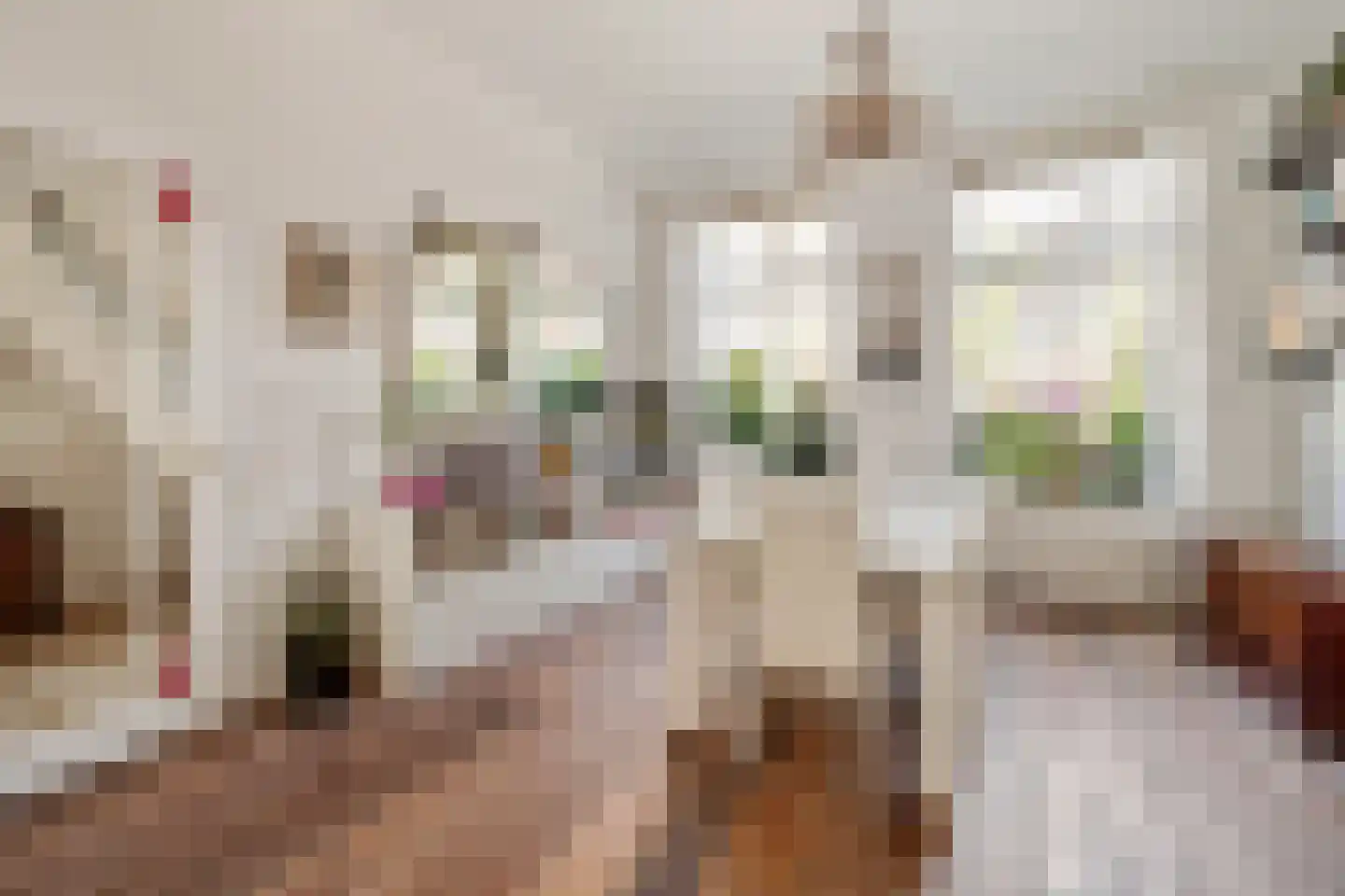Cornelis Jolstraat 12 Den Haag thumbnail 10