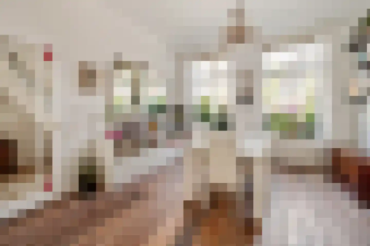 Cornelis Jolstraat 12 Den Haag thumbnail 11