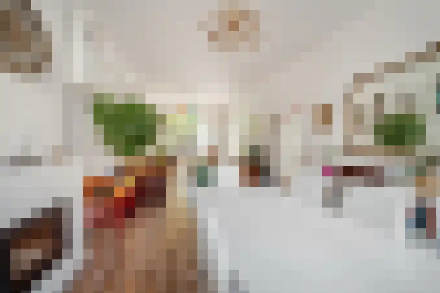 Cornelis Jolstraat 12 Den Haag thumbnail 12