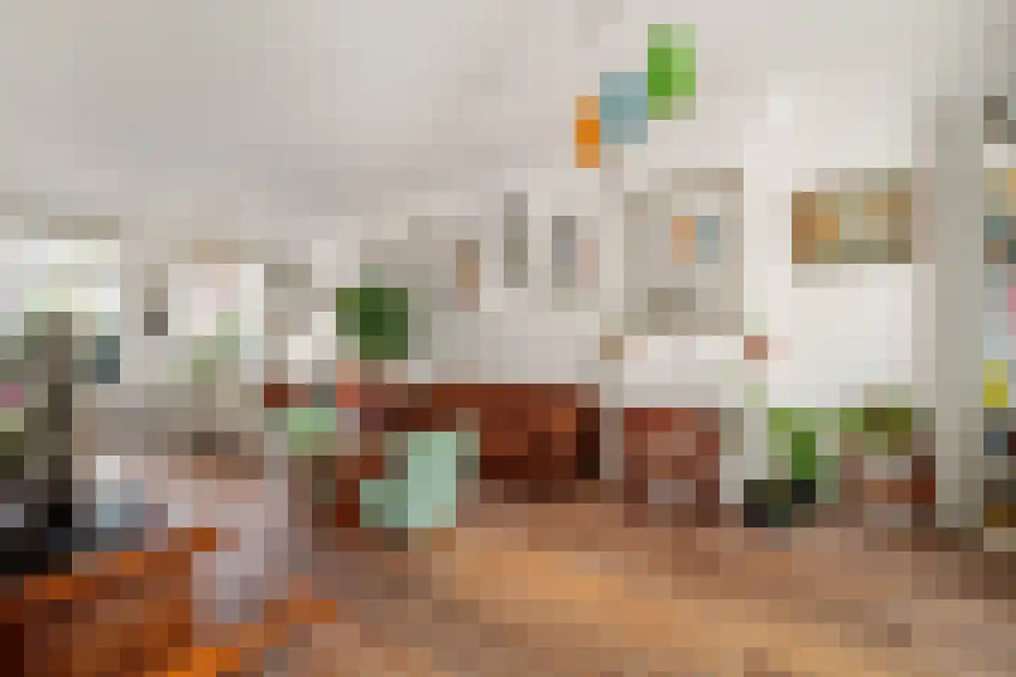 Cornelis Jolstraat 12 Den Haag thumbnail 14