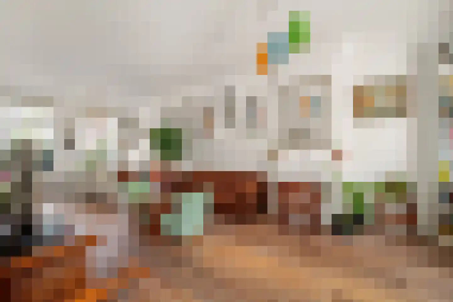 Cornelis Jolstraat 12 Den Haag thumbnail 15