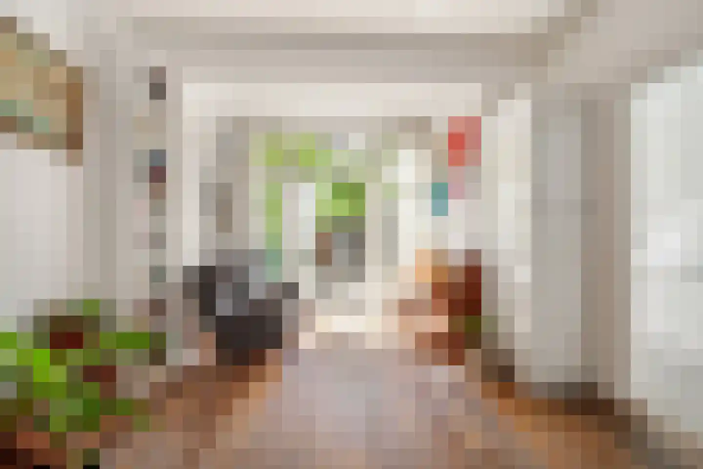 Cornelis Jolstraat 12 Den Haag thumbnail 16