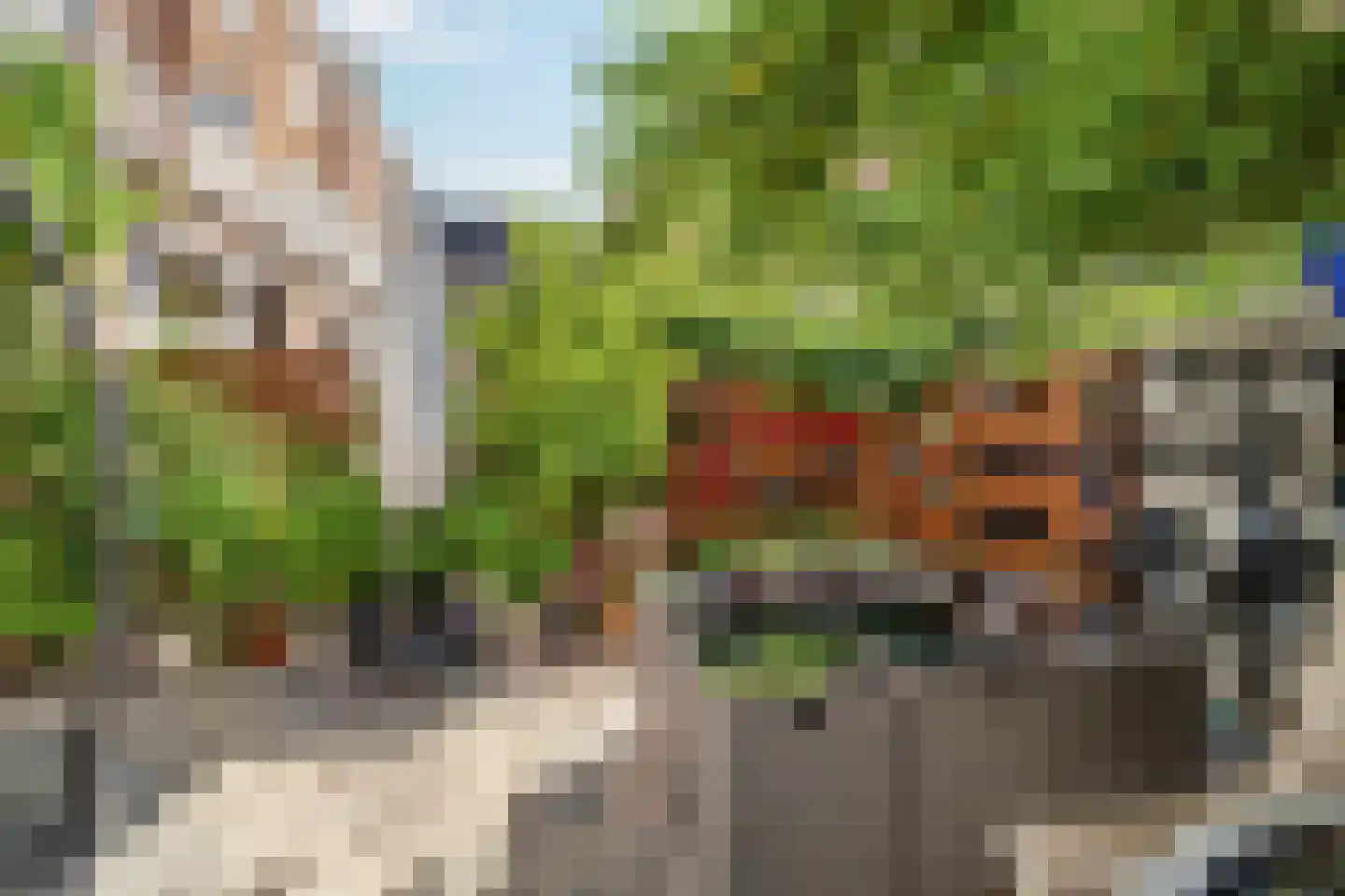 Cornelis Jolstraat 12 Den Haag thumbnail 17