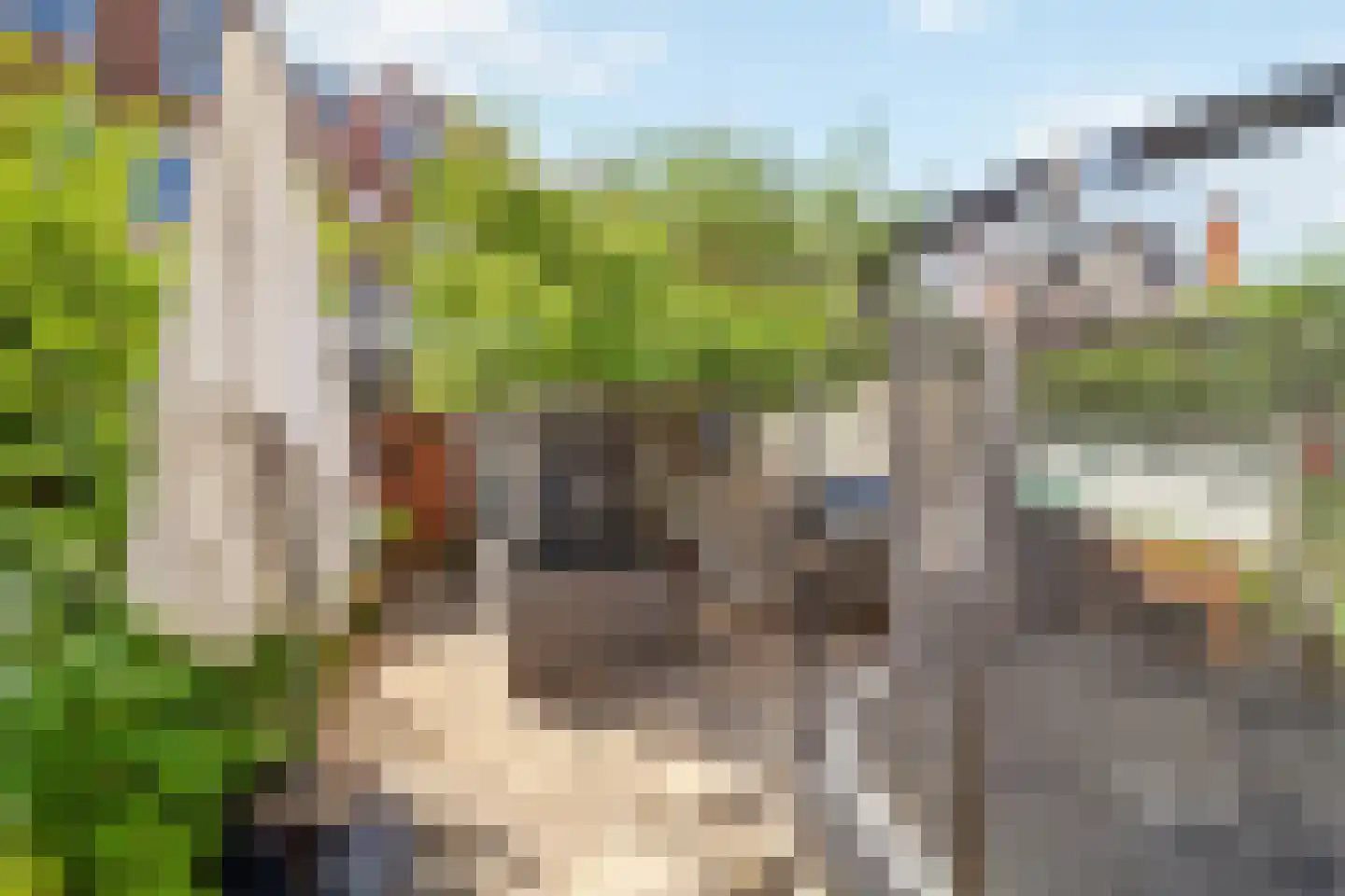 Cornelis Jolstraat 12 Den Haag thumbnail 19