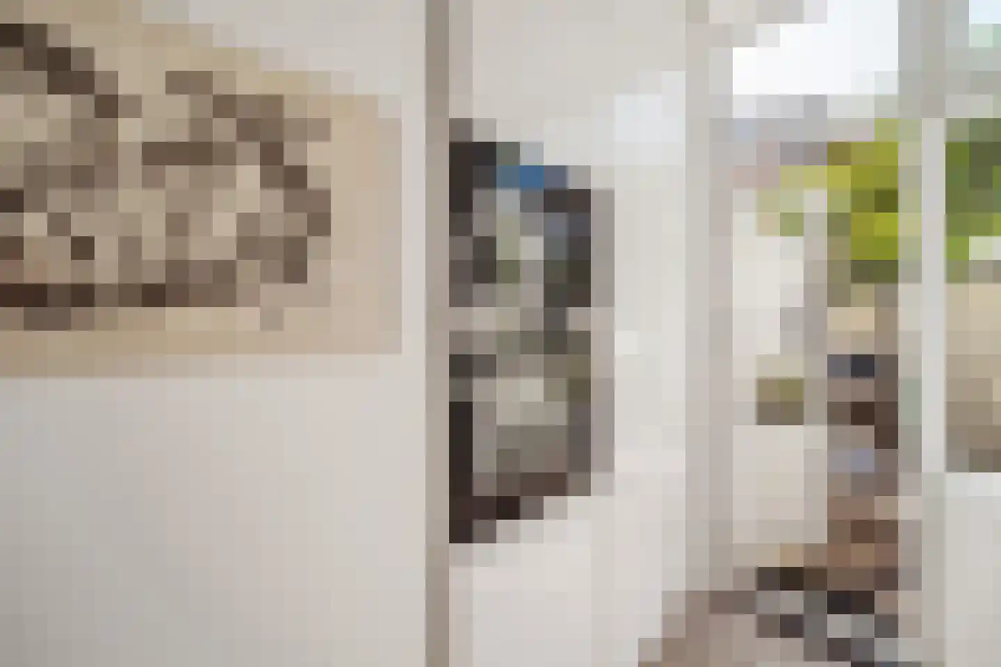 Cornelis Jolstraat 12 Den Haag thumbnail 21
