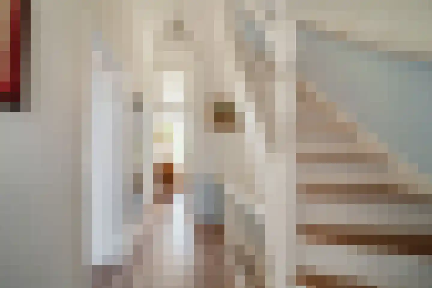 Cornelis Jolstraat 12 Den Haag thumbnail 22