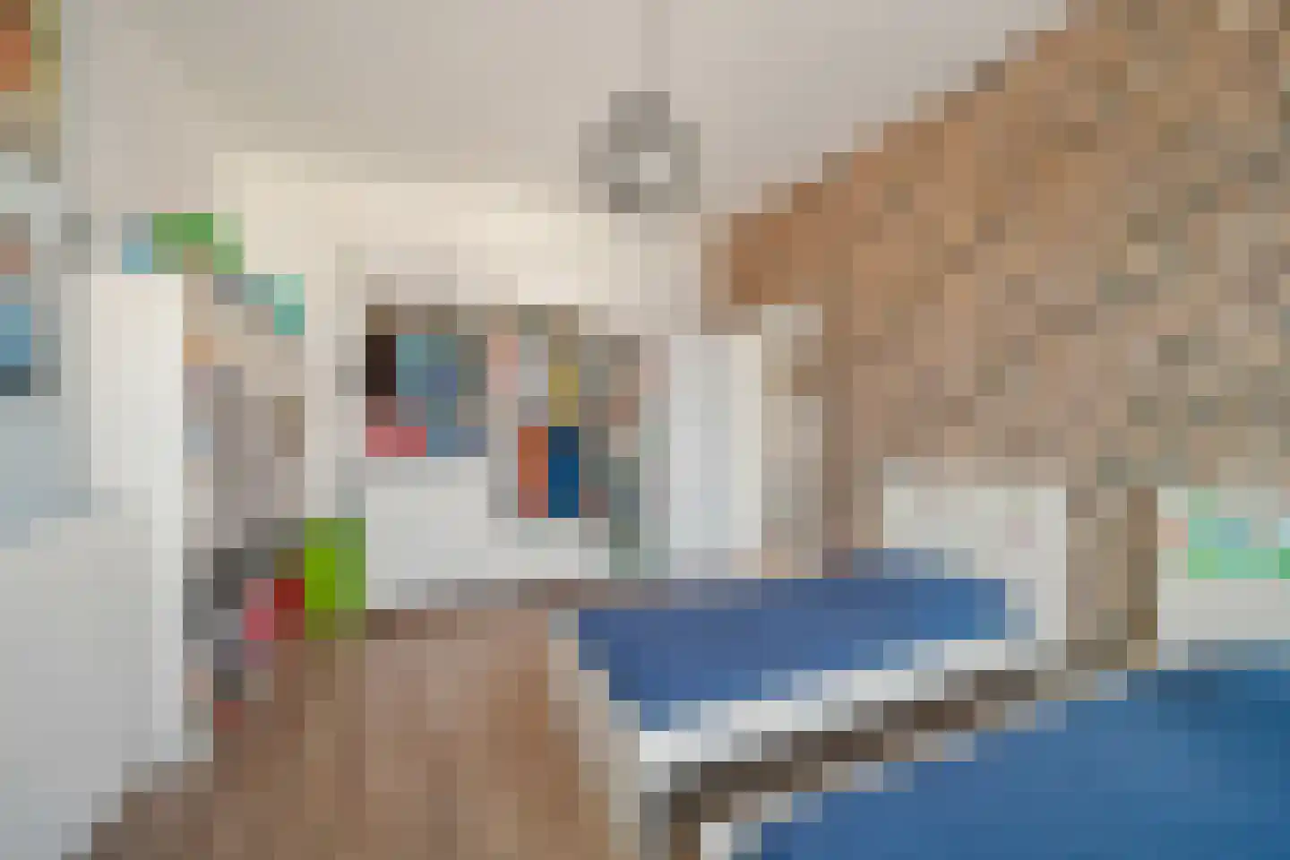 Cornelis Jolstraat 12 Den Haag thumbnail 25