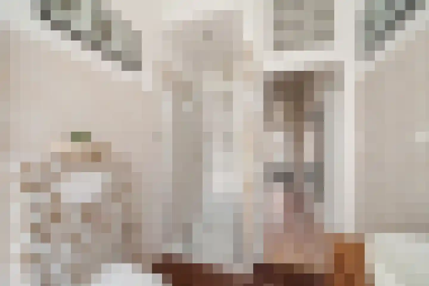 Cornelis Jolstraat 12 Den Haag thumbnail 32