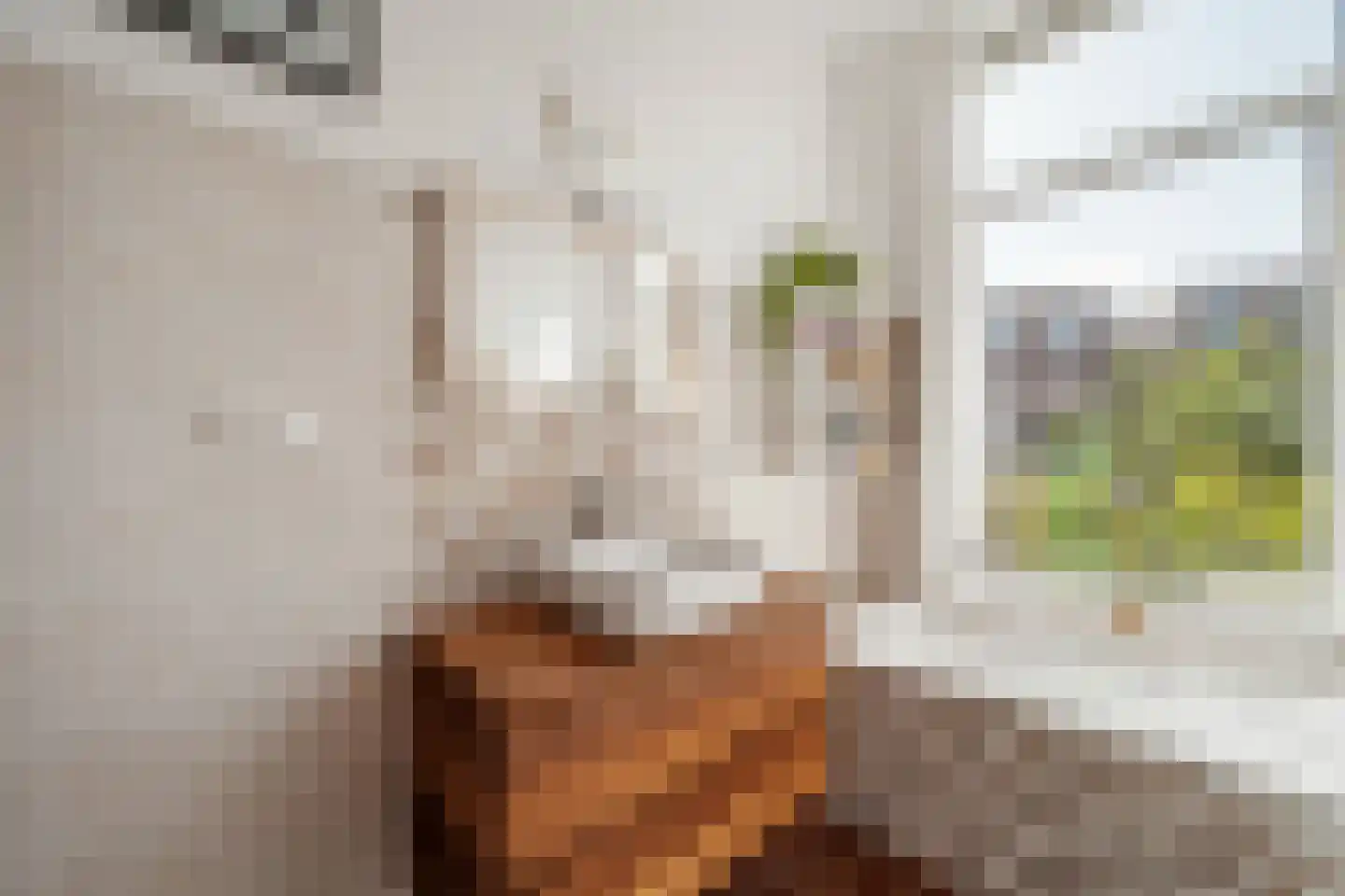Cornelis Jolstraat 12 Den Haag thumbnail 32