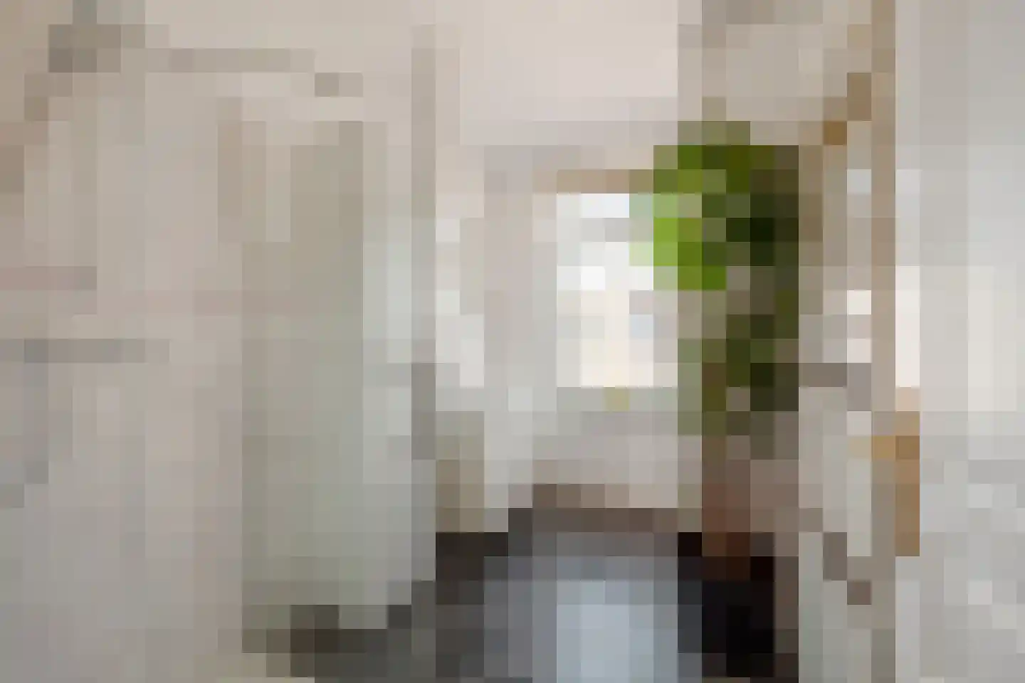 Cornelis Jolstraat 12 Den Haag thumbnail 35
