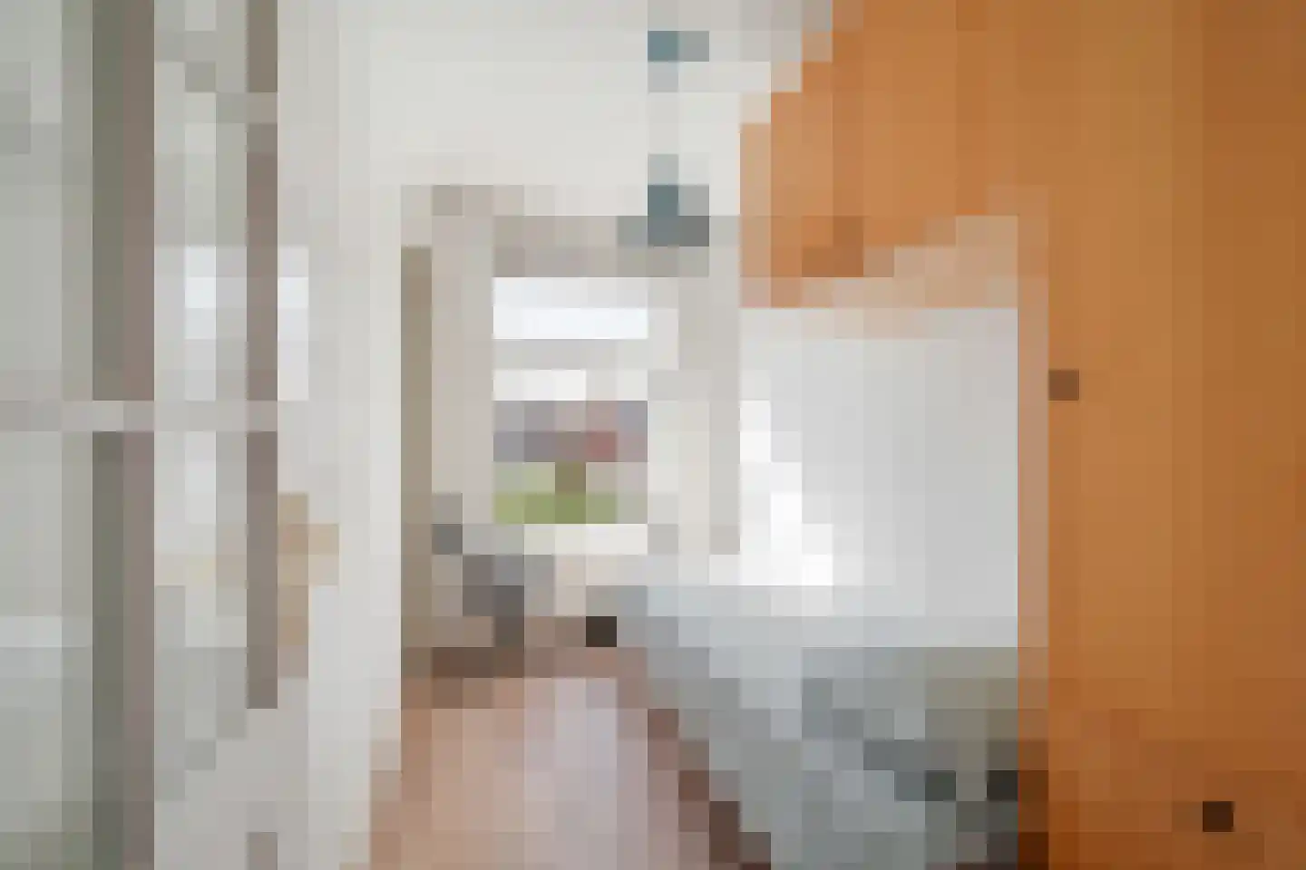 Cornelis Jolstraat 12 Den Haag thumbnail 37