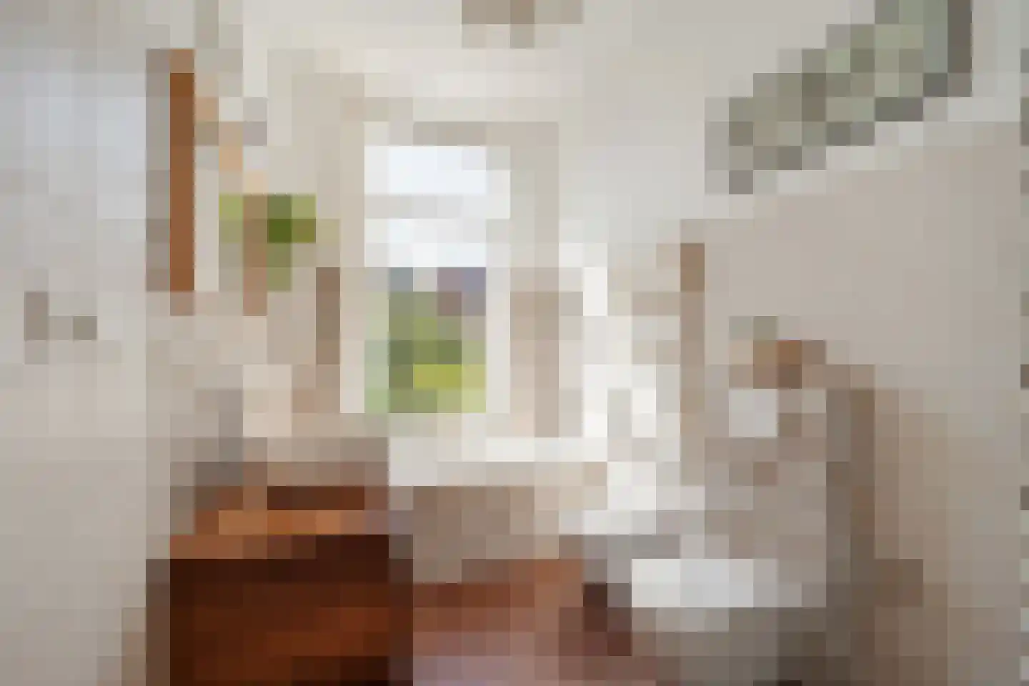 Cornelis Jolstraat 12 Den Haag thumbnail 5