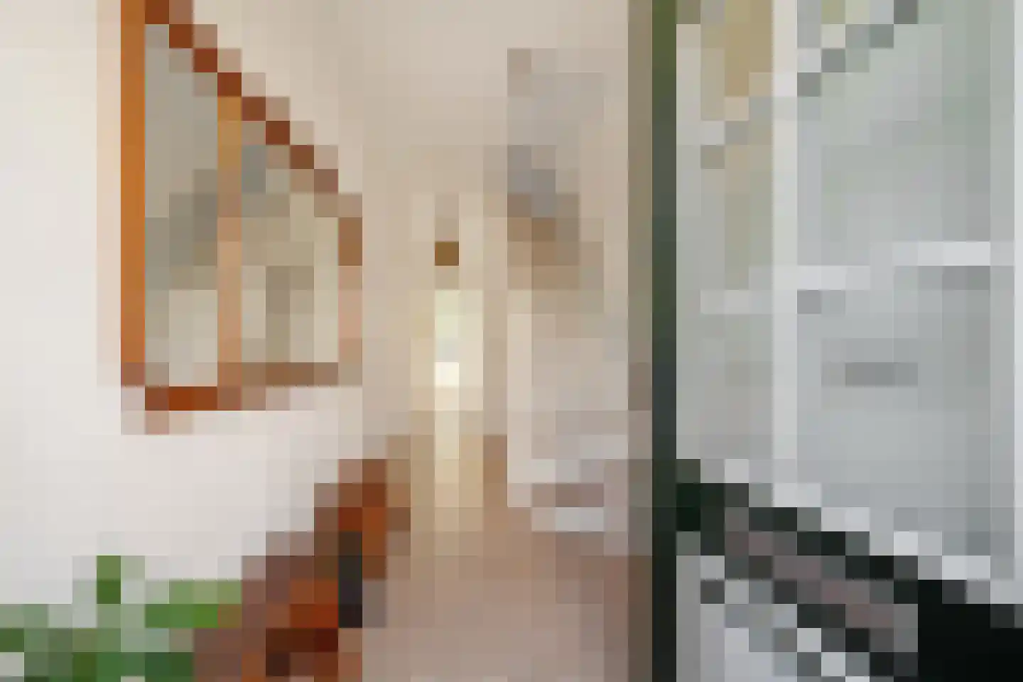 Cornelis Jolstraat 12 Den Haag thumbnail 8