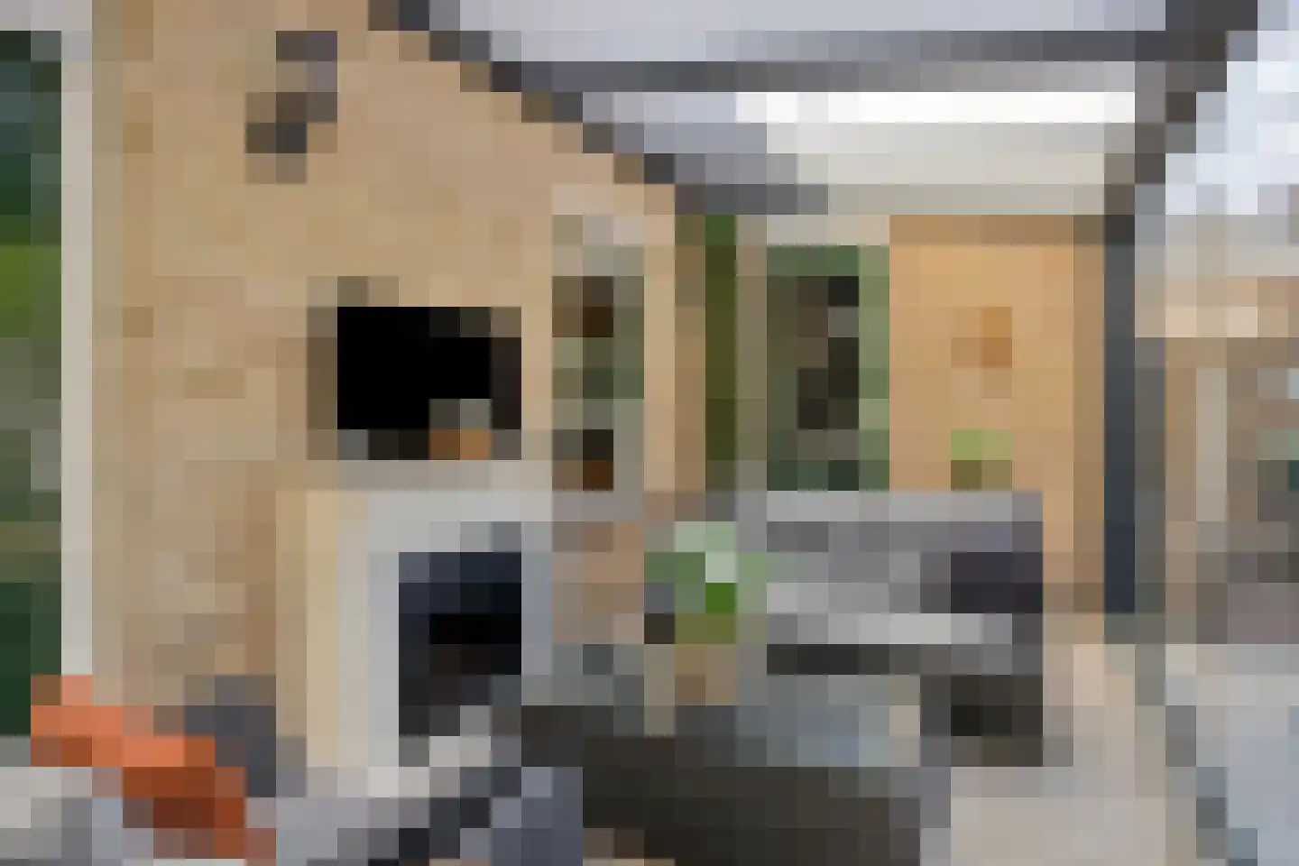 Cornelis Jolstraat 19 Haaksbergen thumbnail 24