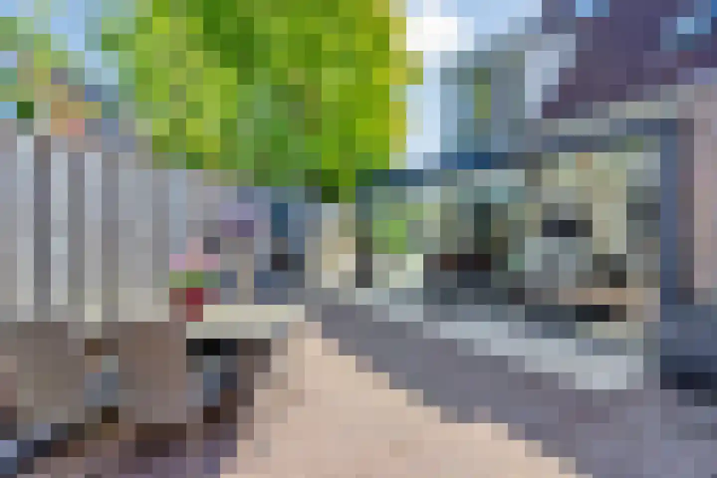 Cornelis Jolstraat 19 Haaksbergen thumbnail 27