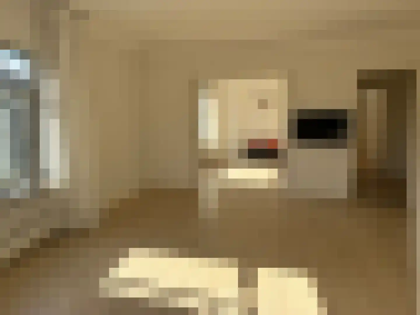 Cornelis Jolstraat 2 D Den Haag thumbnail 11