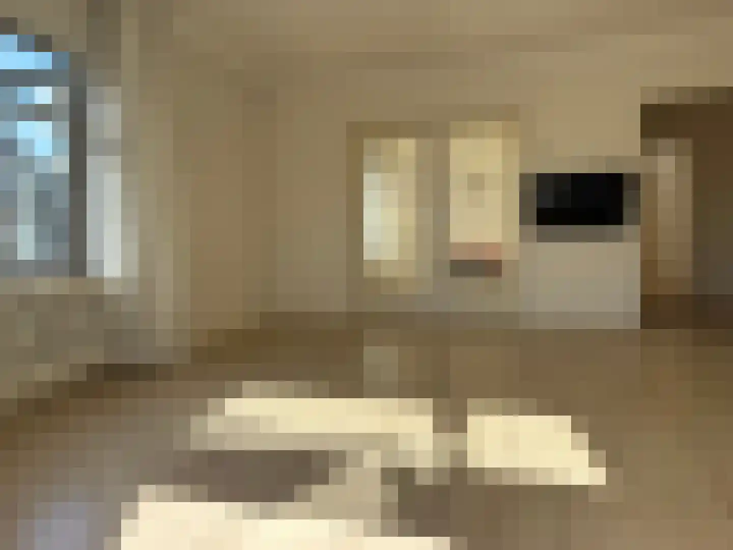 Cornelis Jolstraat 2 D Den Haag thumbnail 13