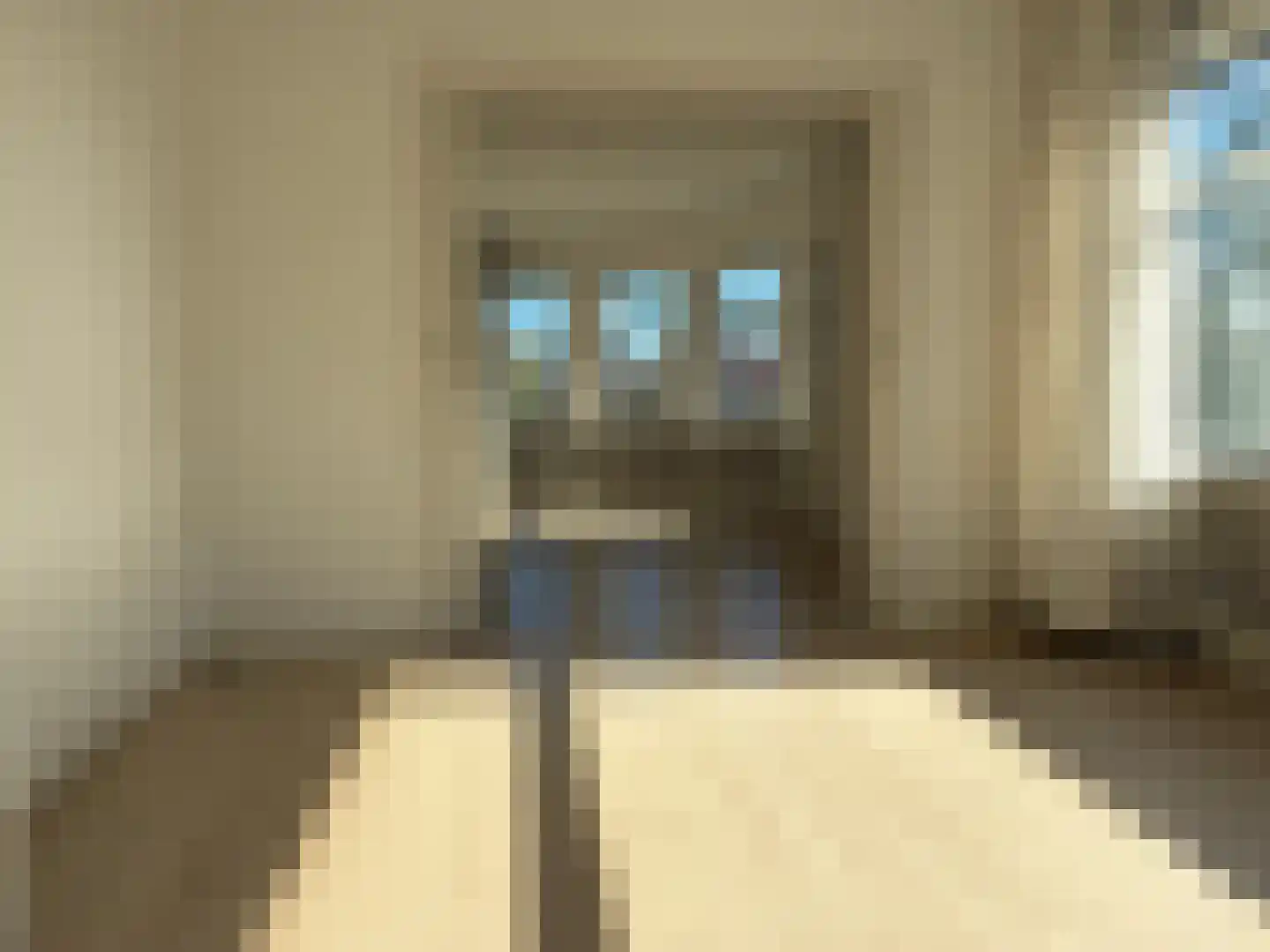Cornelis Jolstraat 2 D Den Haag thumbnail 14