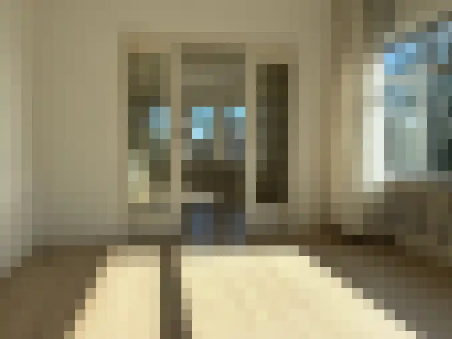 Cornelis Jolstraat 2 D Den Haag thumbnail 15