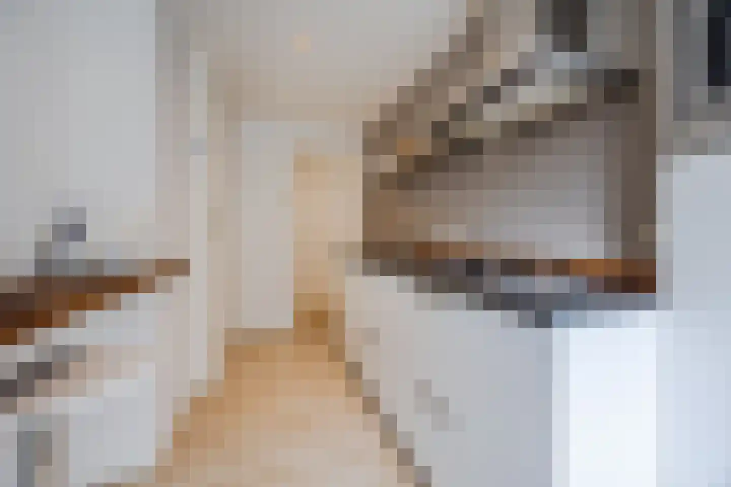 Cornelis Jolstraat 2 D Den Haag thumbnail 18