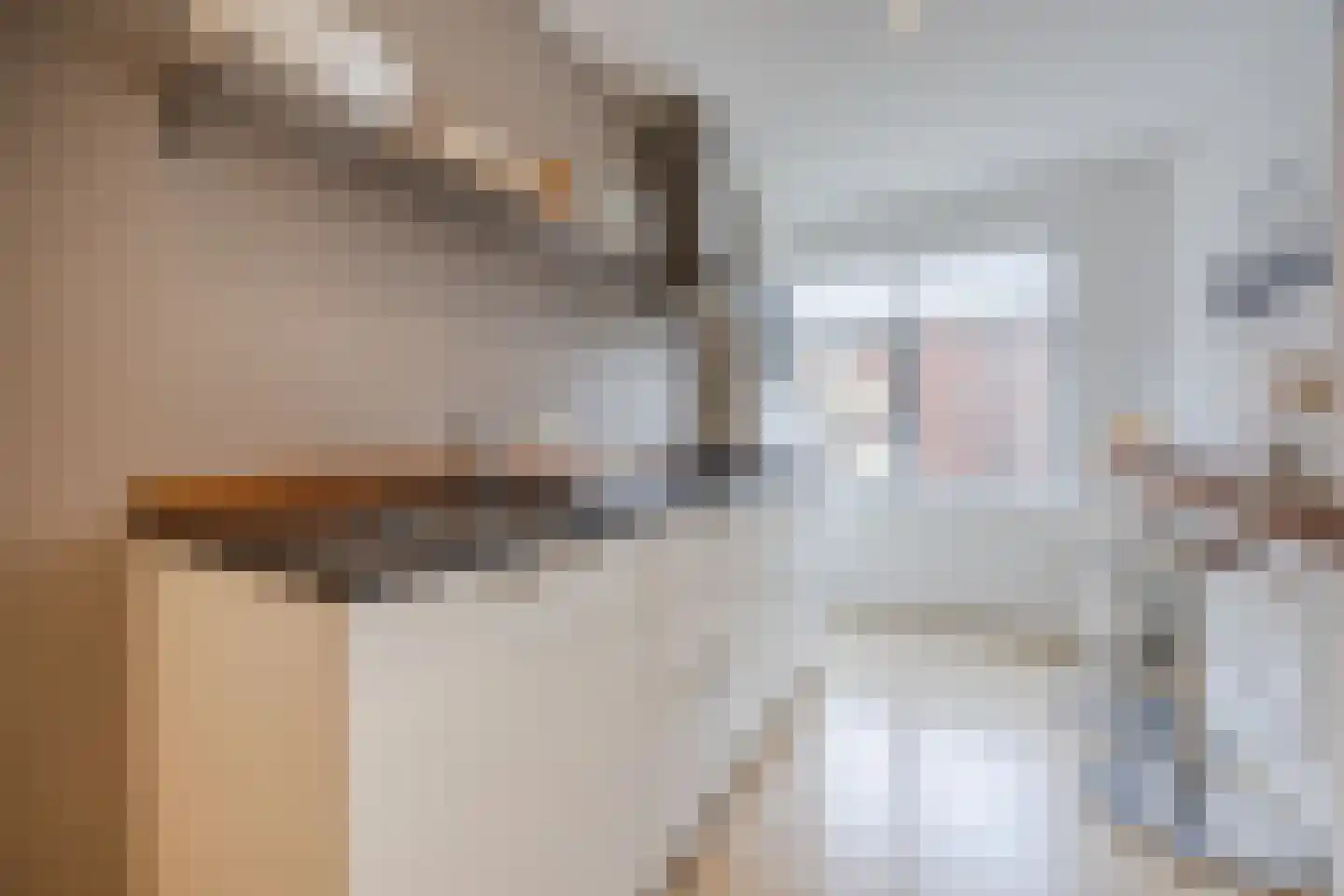 Cornelis Jolstraat 2 D Den Haag thumbnail 19