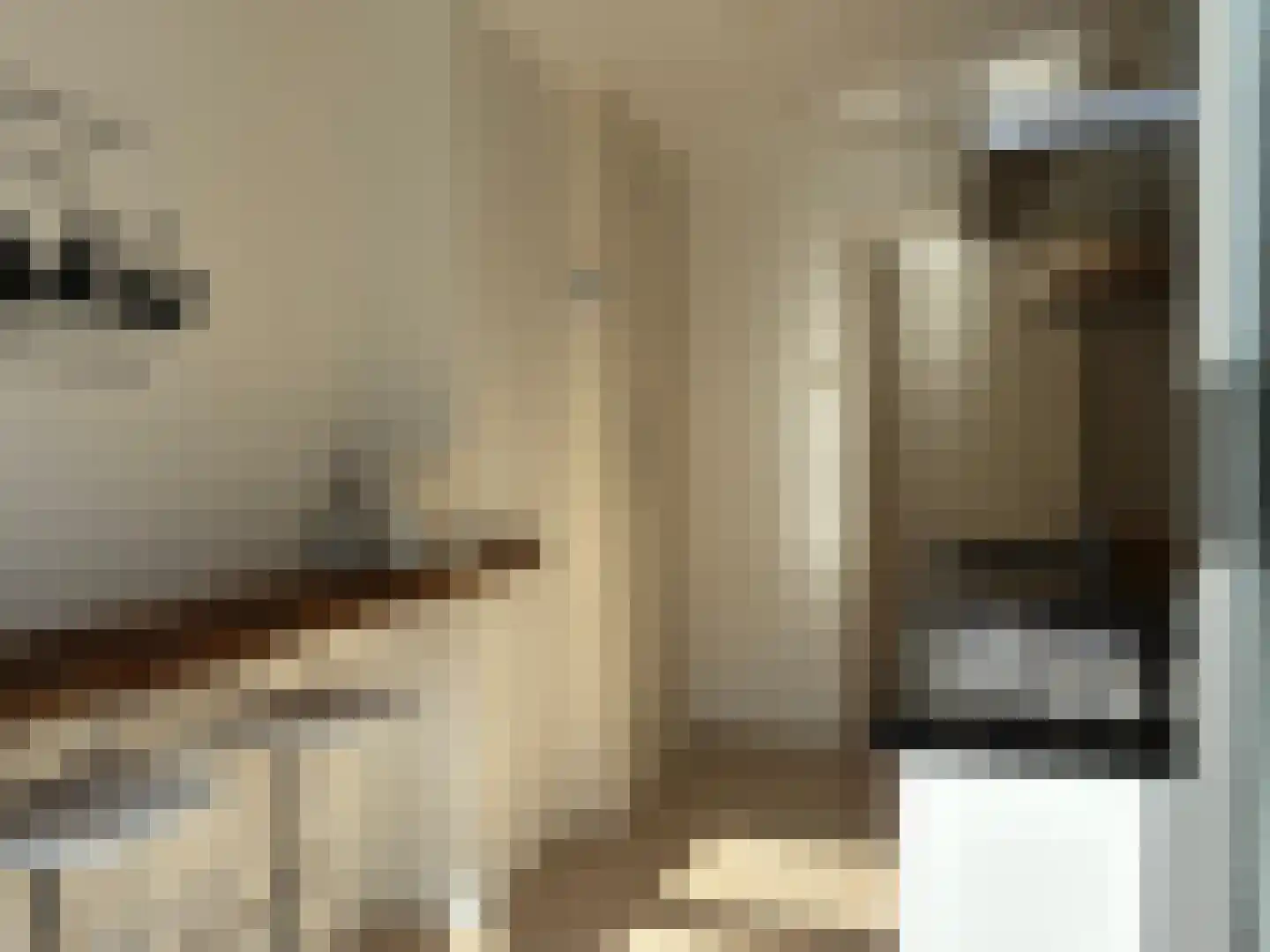Cornelis Jolstraat 2 D Den Haag thumbnail 20