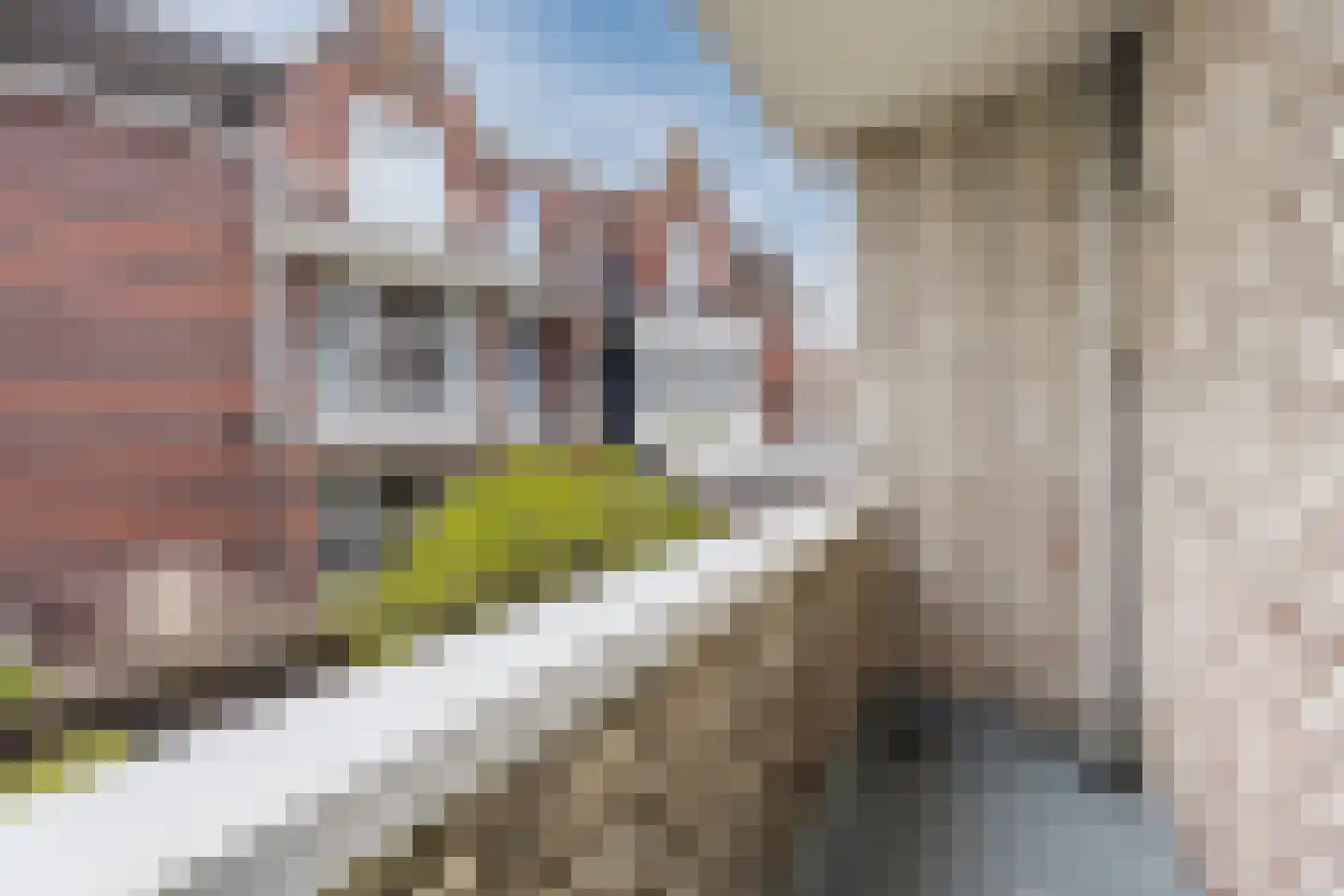 Cornelis Jolstraat 2 D Den Haag thumbnail 24