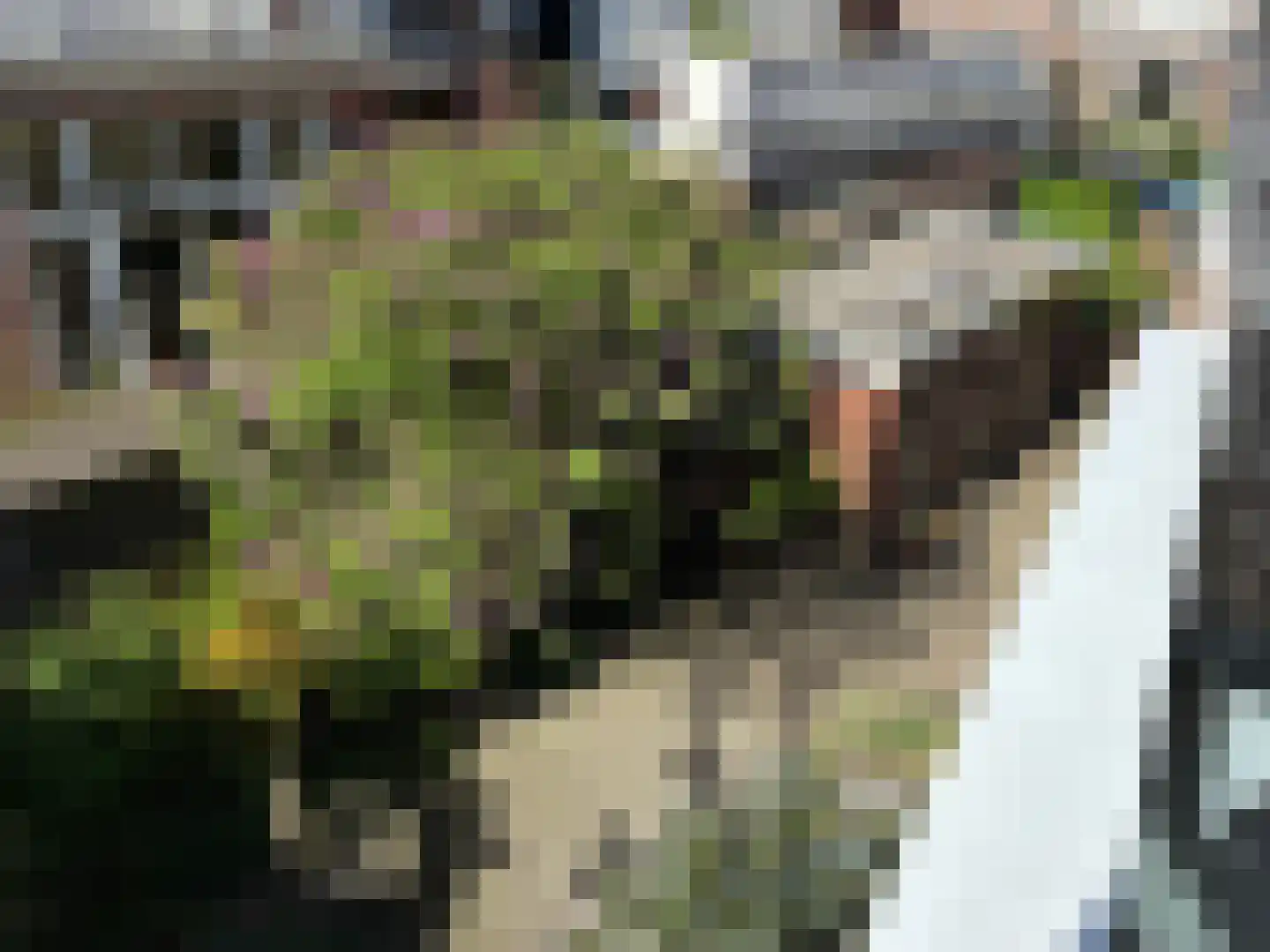 Cornelis Jolstraat 2 D Den Haag thumbnail 26