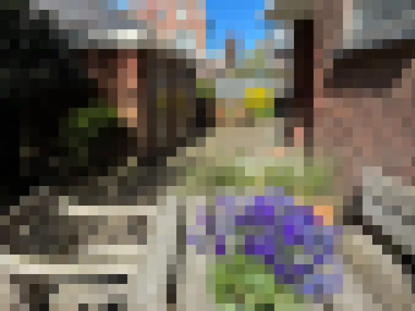 Cornelis Jolstraat 2 D Den Haag thumbnail 30
